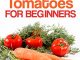 Growing Tomatoes, Growing Carrots, How To Grow Tomatoes and ...