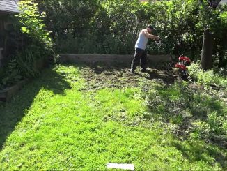 Tilling The Lawn With A Troy-Bilt Tiller (Backyard Landscapi...