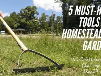 Top 5 Tools for Homesteads and Gardens - Modern Homesteading