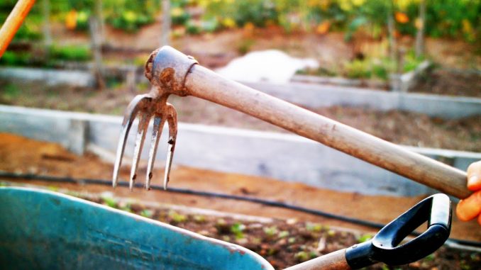 Practical Garden Tools