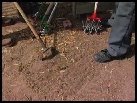 How To Pick The Right Tool For Weeding The Garden