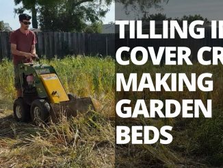 Building the Market Garden: Tilling in Cover Crop and Making...